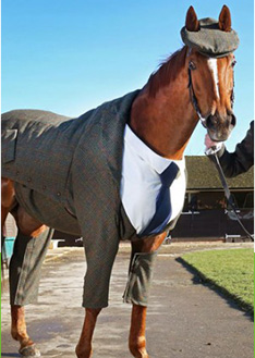 上海金慈實(shí)業(yè)有限公司，丙綸高強(qiáng)絲，丙綸色絲，丙綸中空絲，丙綸異形絲，丙綸夜光紗，高強(qiáng)丙綸絲，丙綸工業(yè)絲，丙綸熒光絲